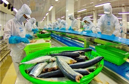 Mỹ ra phán quyết bất lợi cho cá tra, ba sa VN